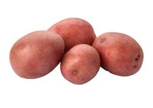 AARDAPPEL ROOD KRUIMIG