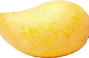 BLADPETERSELIE (70 GRAM) 70 GRAM