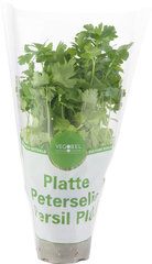 BLADPETERSELIE OP POT 1 STUK